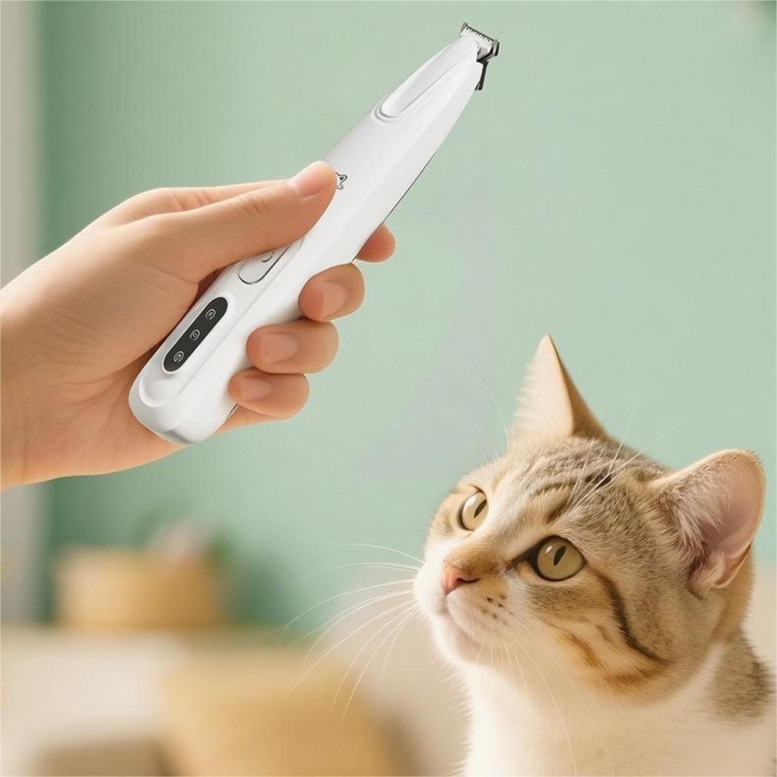 Eine Hand hält einen weißen Haustier-Trimmer. Eine Katze mit braun-weißem Fell blickt auf den Trimmer.