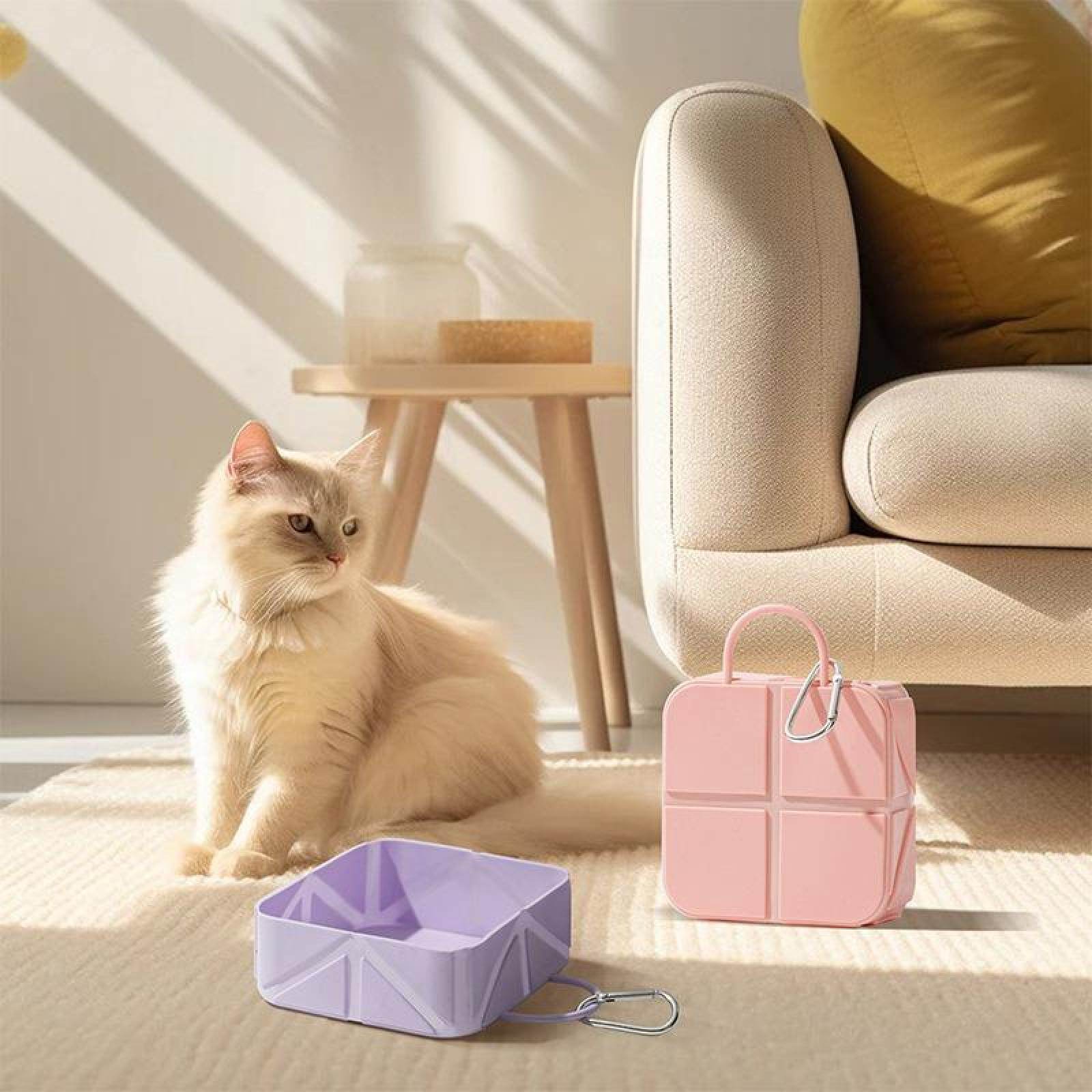 Eine flauschige Katze sitzt neben einer lila Katzenschüssel und einer rosa Tasche. Im Hintergrund sind eine Couch und ein Beistelltisch.