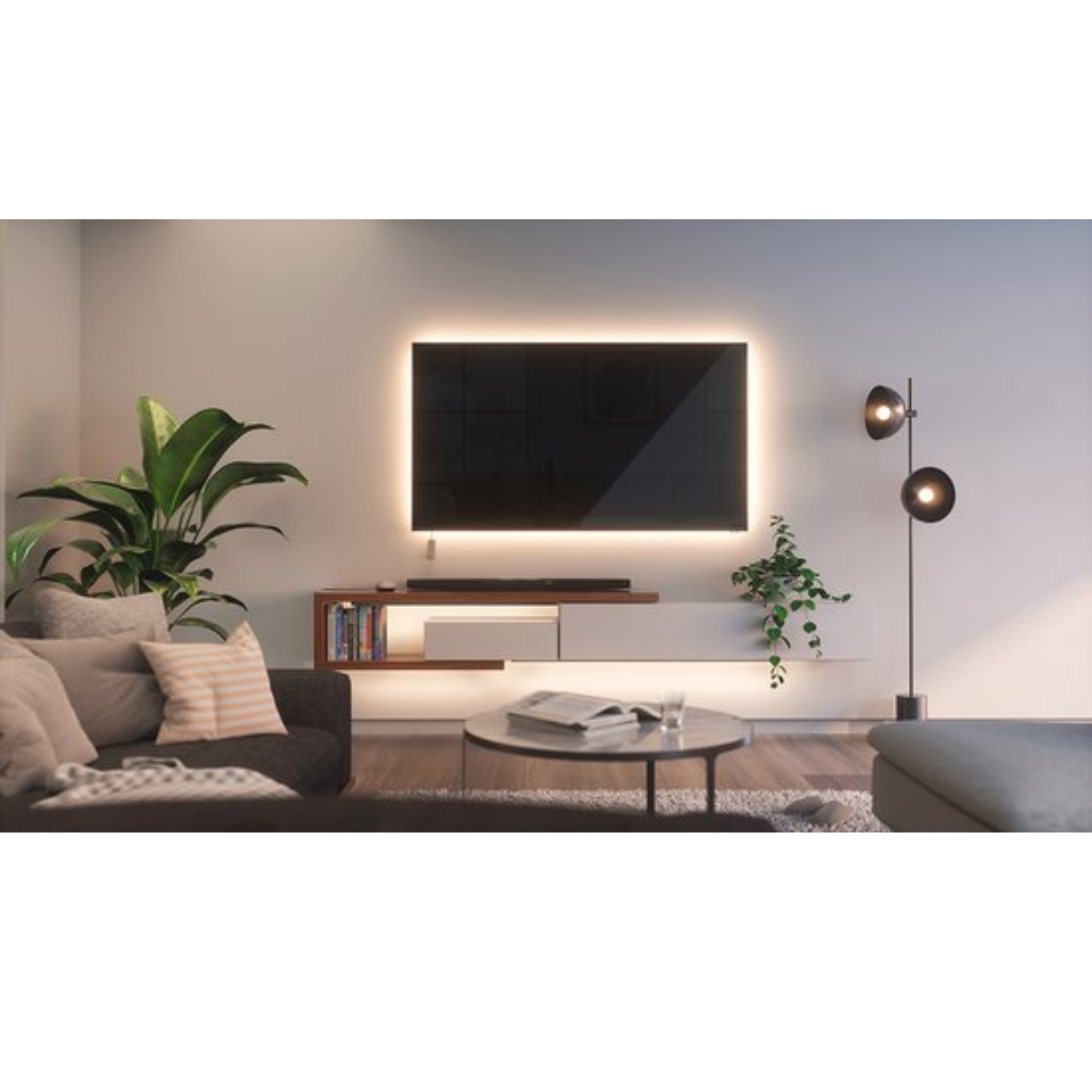 Soggiorno: TV retroilluminata, divano, tavolino, lampada da terra, piante e tappeto. Design moderno.