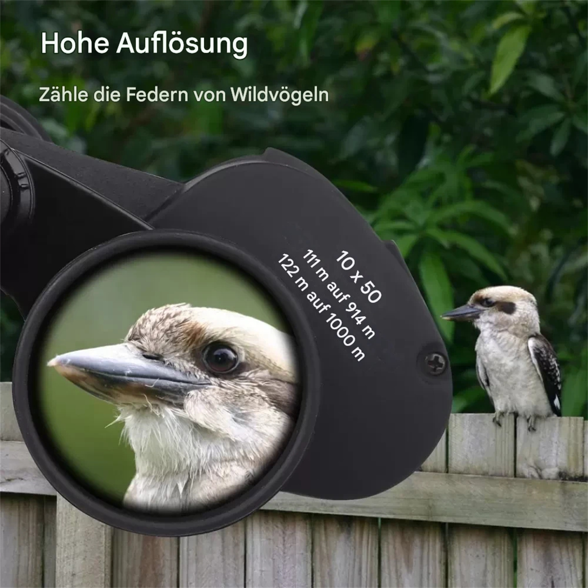 Ein Vogel wird durch ein Fernglas betrachtet. Ein anderer Vogel sitzt auf einem Holzzaun. Text auf dem Fernglas: 10x50.