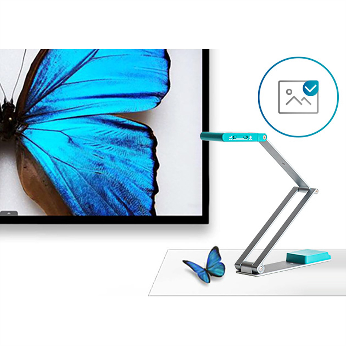 Ein blauer Schmetterlingsflügel wird gezeigt. Eine Faltlampe und ein kleiner Schmetterling befinden sich auf einer weißen Oberfläche. Ein Bildsymbol befindet sich in einem Kreis.