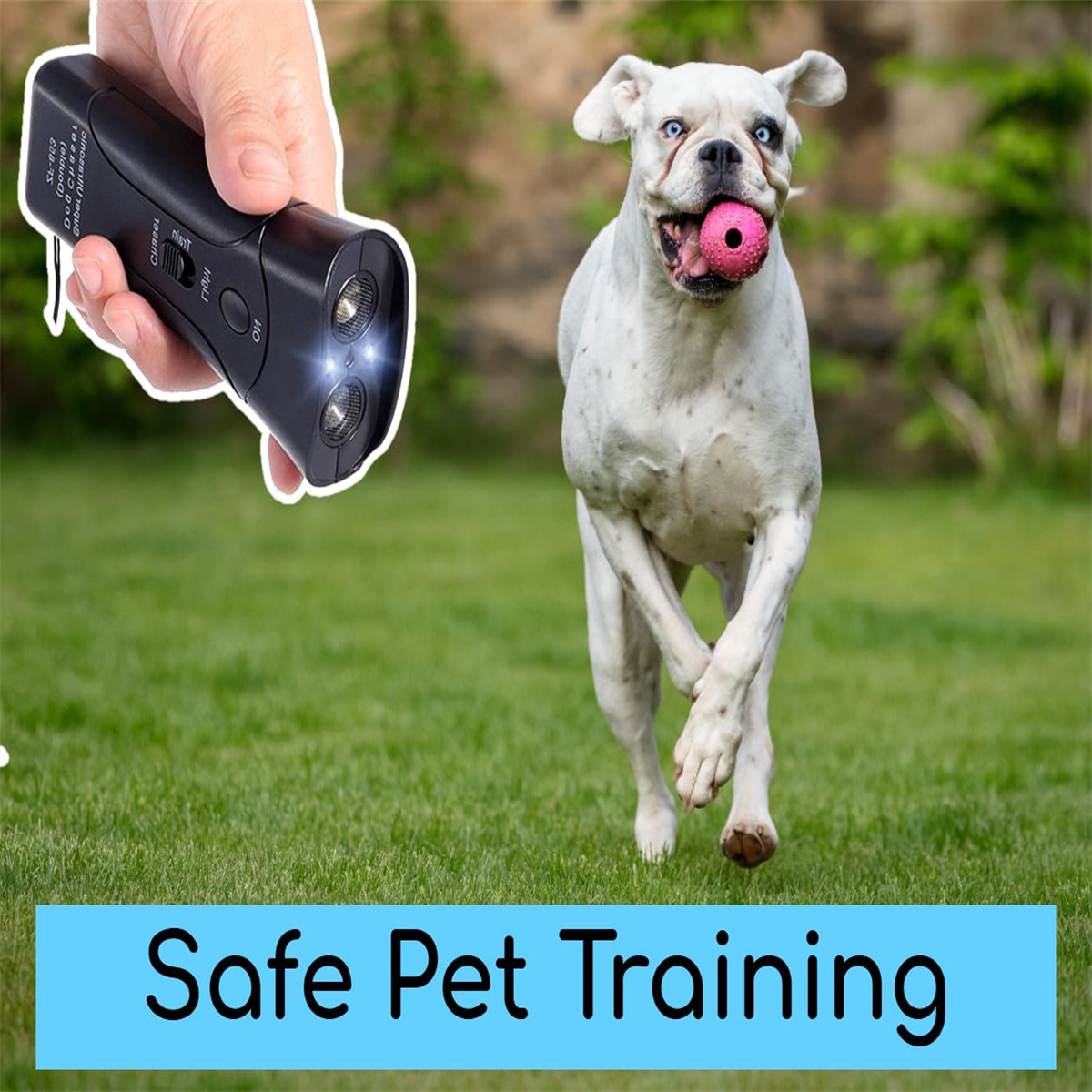 Eine Hand hält ein Gerät. Ein weißer Hund rennt auf grünem Gras mit einem rosa Ball im Maul. Der Text "Safe Pet Training" steht unten.