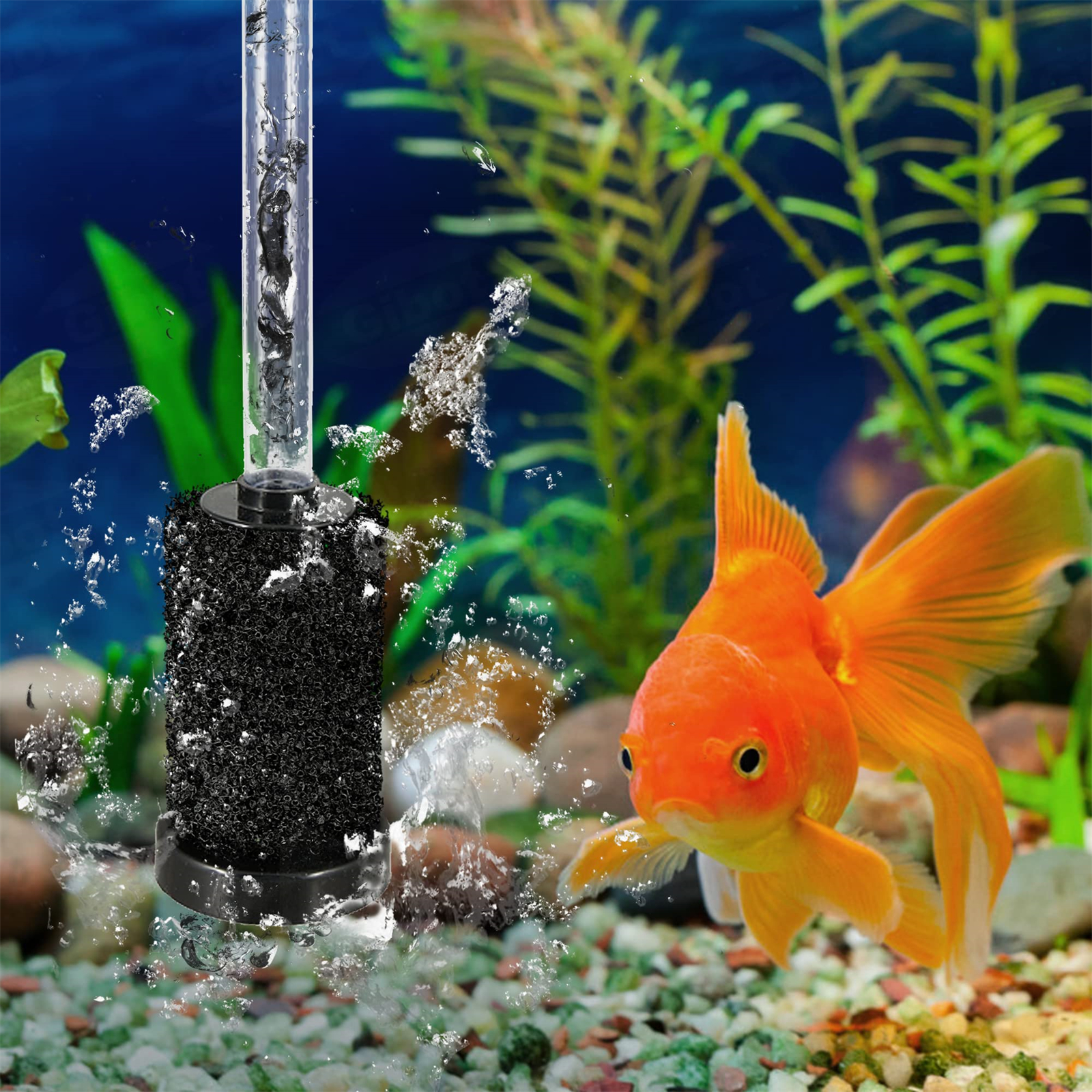 Ein Goldfisch schwimmt in der Nähe eines Aquarienfilters mit Blasen. Im Hintergrund sind grüne Pflanzen und Kieselsteine. Der Fisch ist orange.