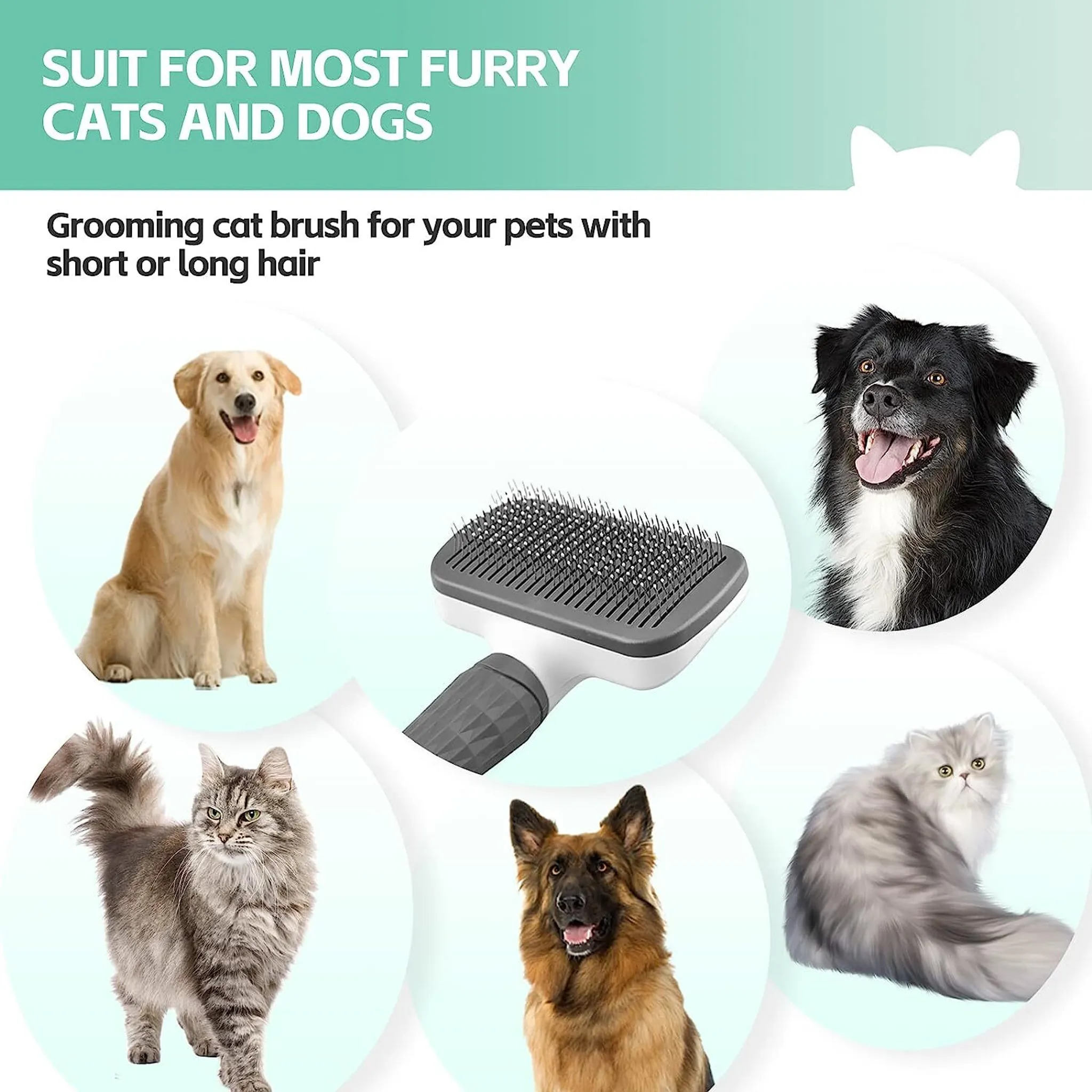 Das Bild zeigt eine Katzenbürste und Fotos von Hunden und Katzen. Der Text lautet: 'Geeignet für die meisten Katzen und Hunde'.