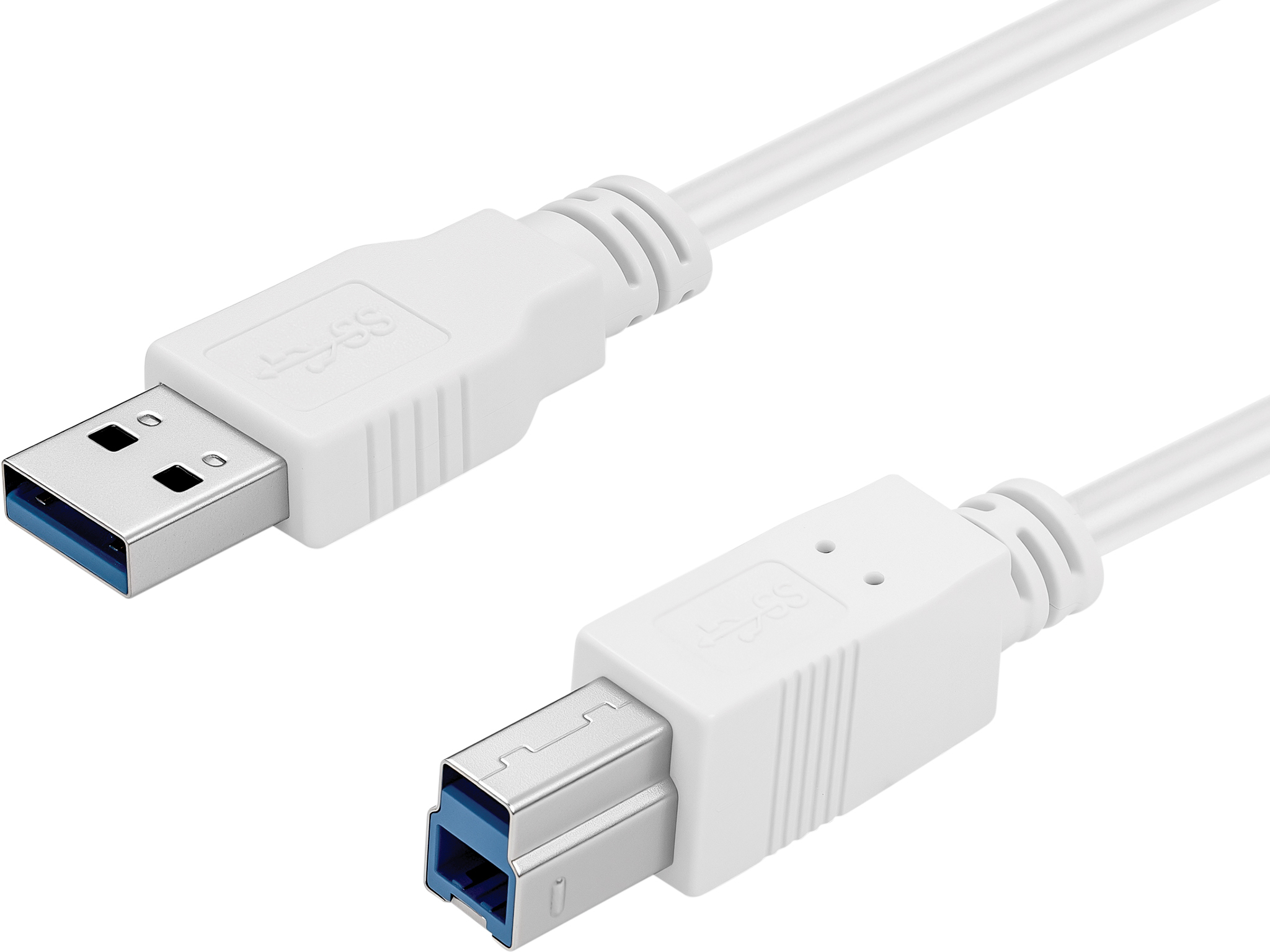 Un câble USB blanc avec deux connecteurs, un standard et un USB-B plus grand. Les connecteurs ont des intérieurs bleus.