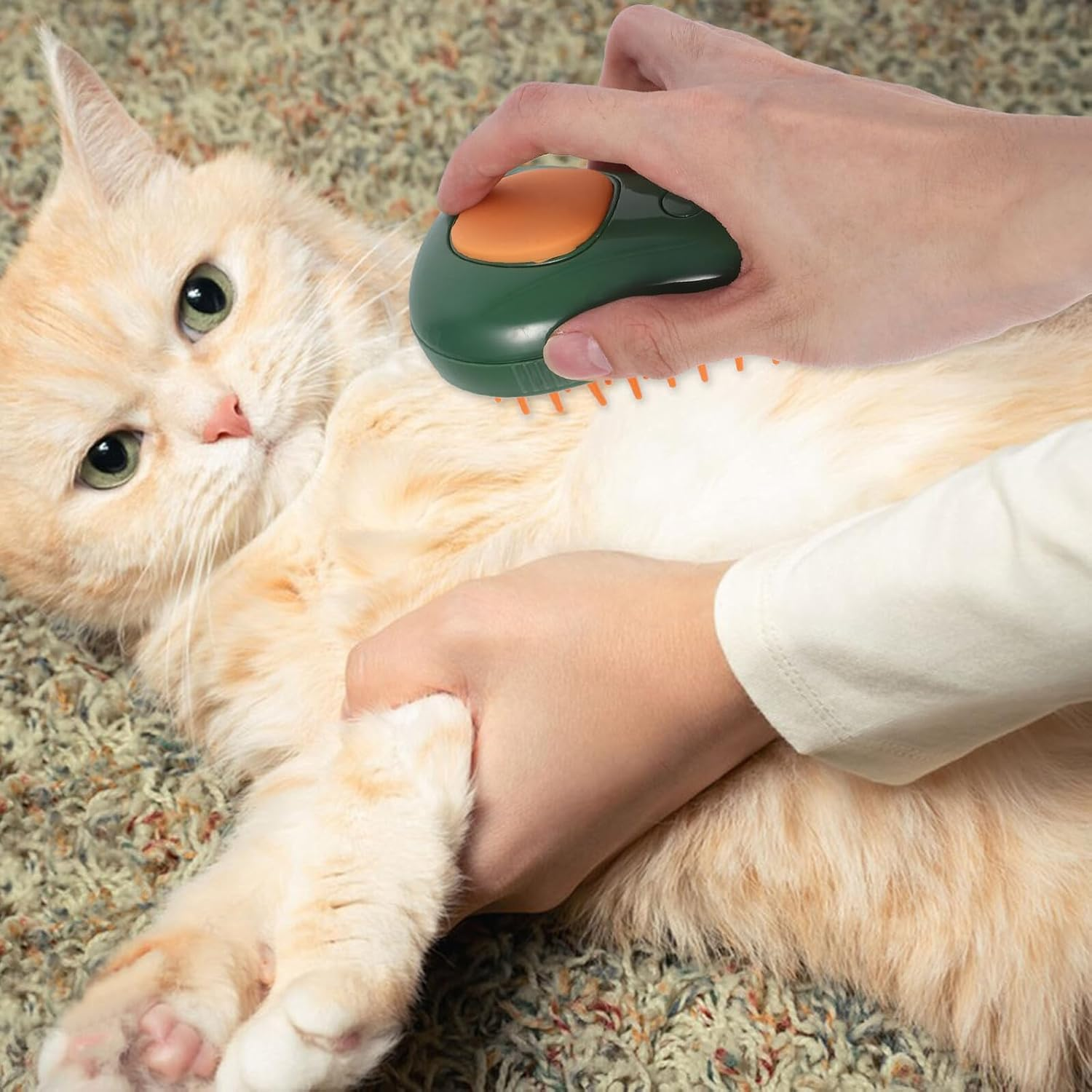 Eine Person pflegt eine hellorange Katze mit einer grün-orangen Bürste. Die Katze liegt auf einem gemusterten Teppich.