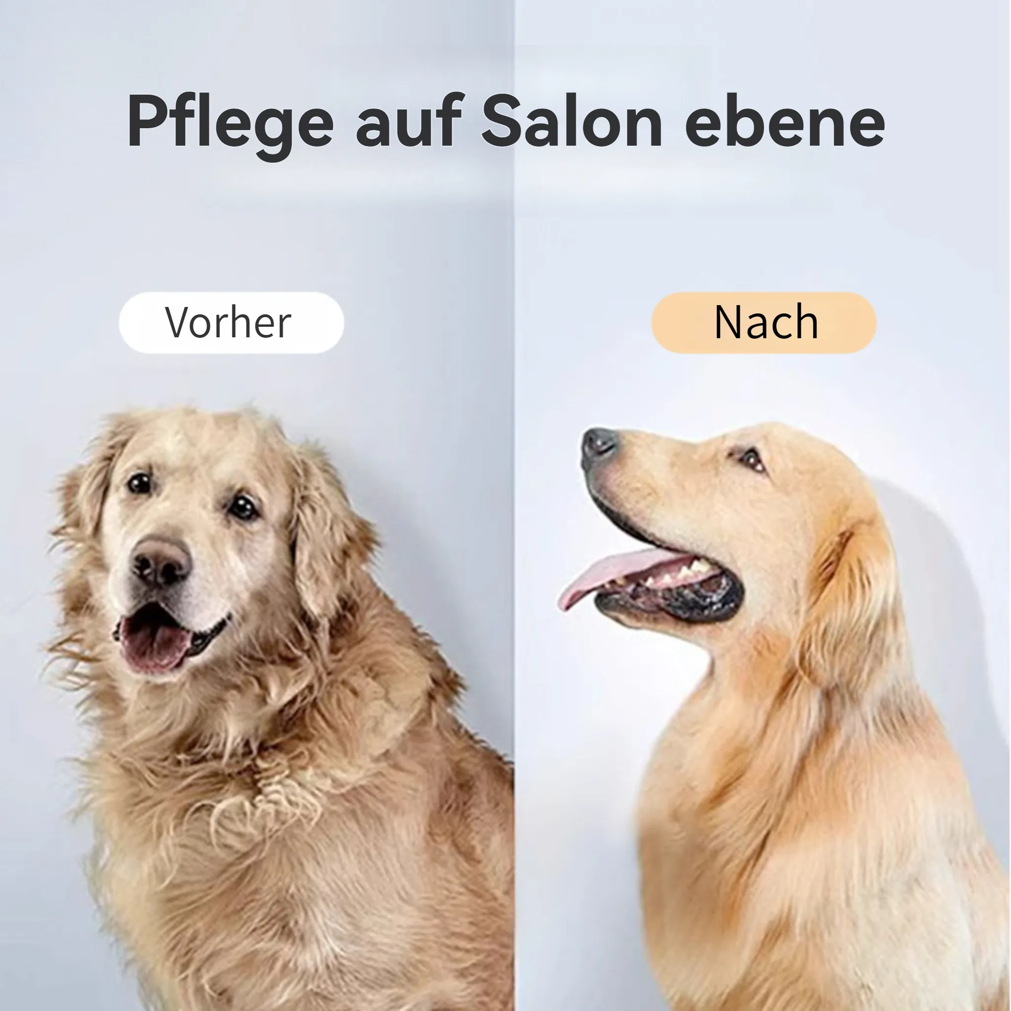 Das Bild zeigt Vorher-Nachher-Vergleich des Groomings eines Hundes. Vorher: unordentliches Fell, Nachher: sauberes Fell.