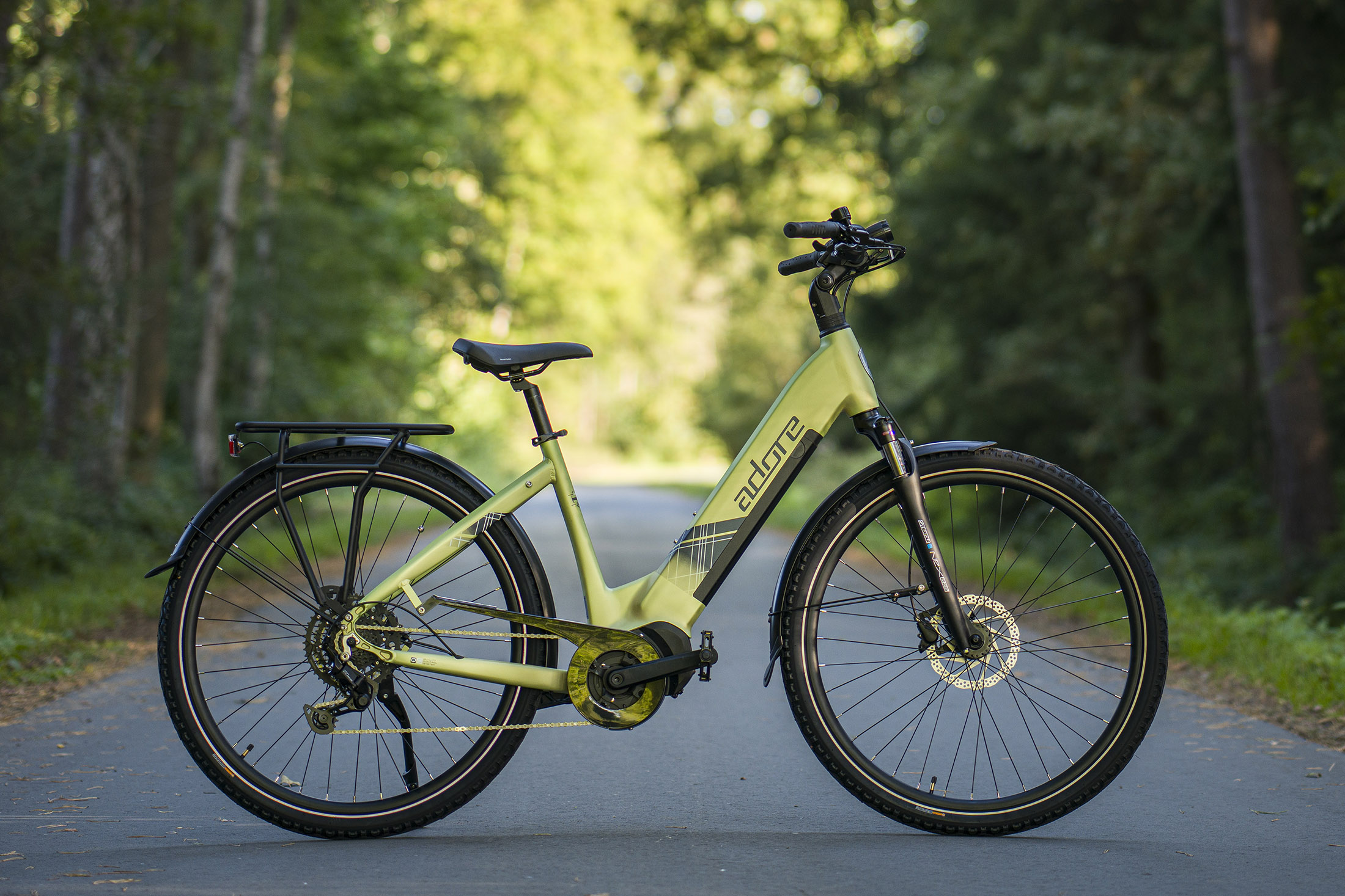 Grünes Elektrofahrrad auf einer Straße, umgeben von Bäumen. Das Fahrrad hat schwarze Reifen und einen schwarzen Gepäckträger.