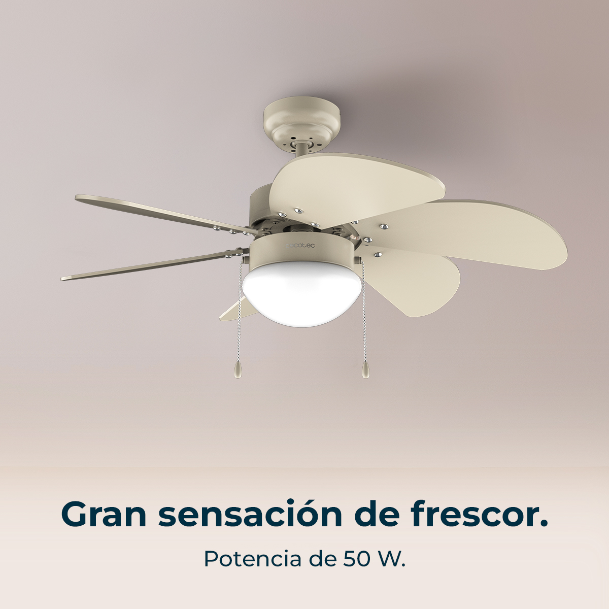 Ventilatore da soffitto con cinque pale, una luce e catenelle. Testo: 'Grande sensazione di freschezza' e 'Potenza di 50 W'.
