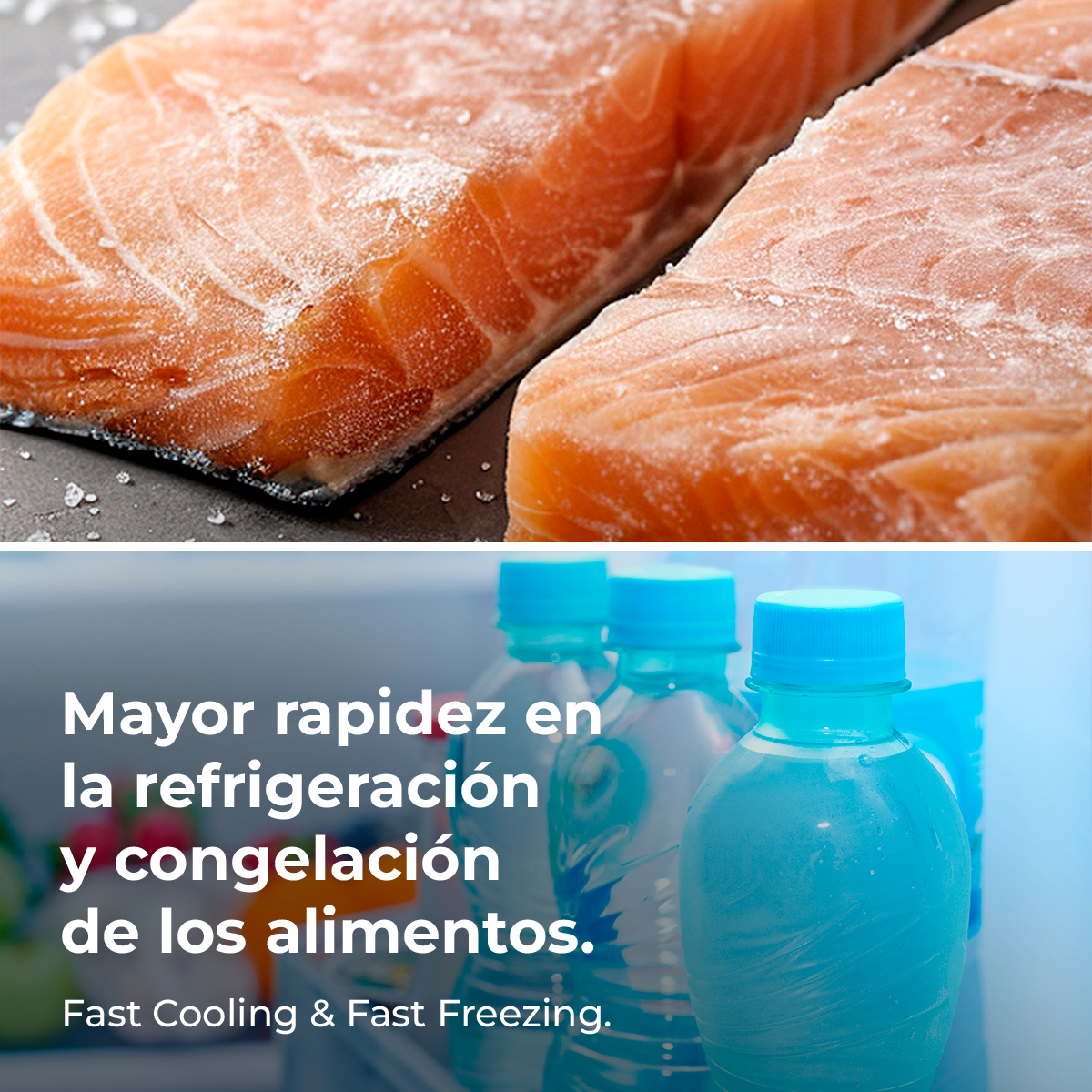Sopra: Due filetti di salmone con sale. Sotto: Bottiglie di liquido blu con testo: Raffreddamento rapido e congelamento rapido.
