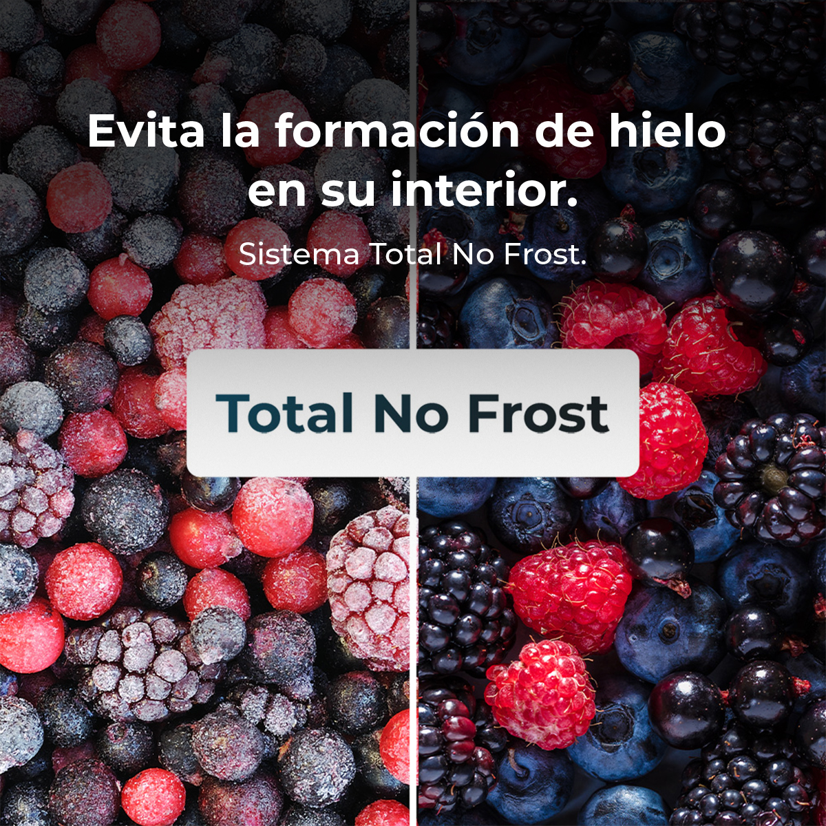 L'immagine mostra uno schermo diviso di bacche congelate. Il testo recita: 'Evita la formación de hielo en su interior. Sistema Total No Frost. Total No Frost'.