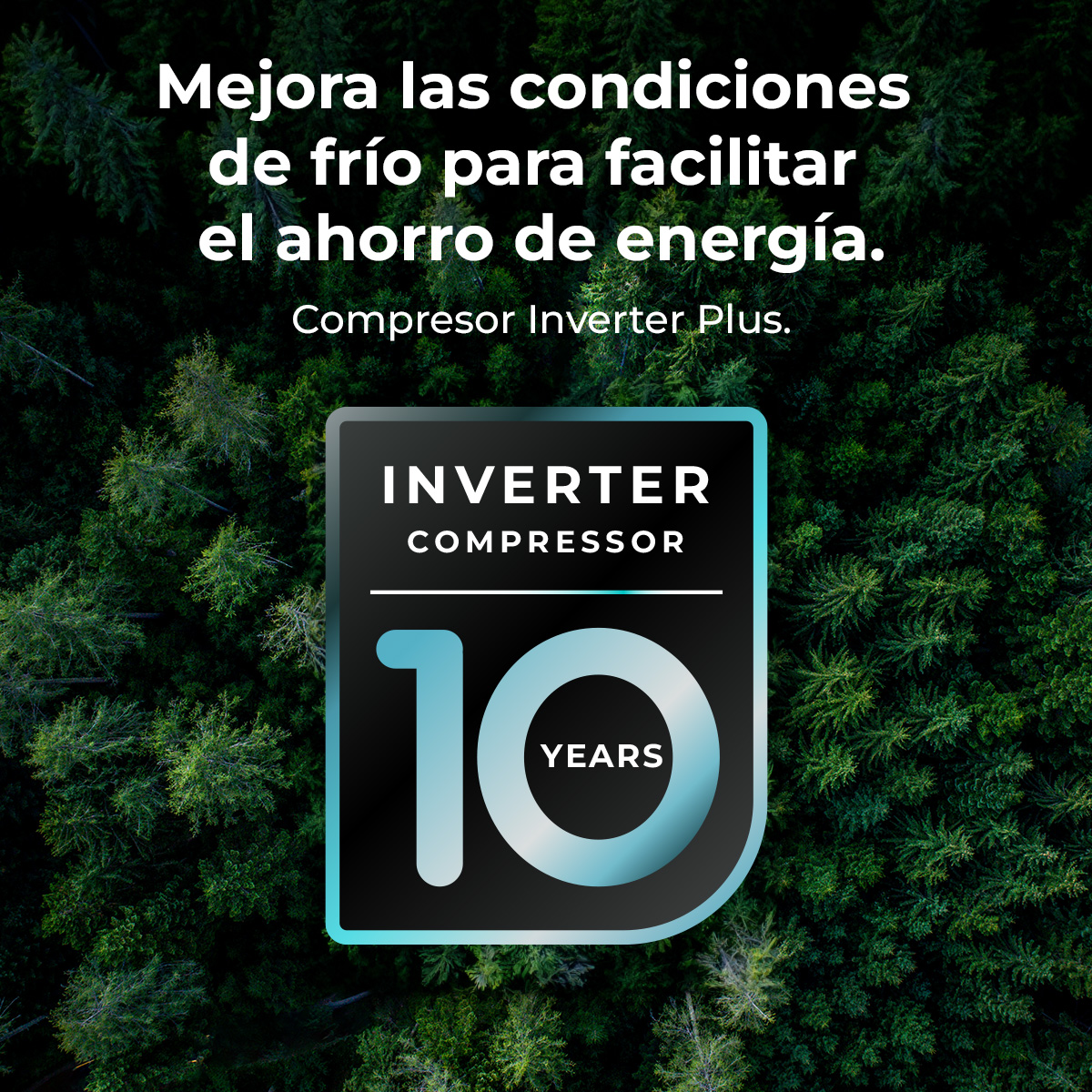 Immagine con testo in spagnolo, che promuove il risparmio energetico. Logo del compressore con '10 ANNI' su sfondo forestale.