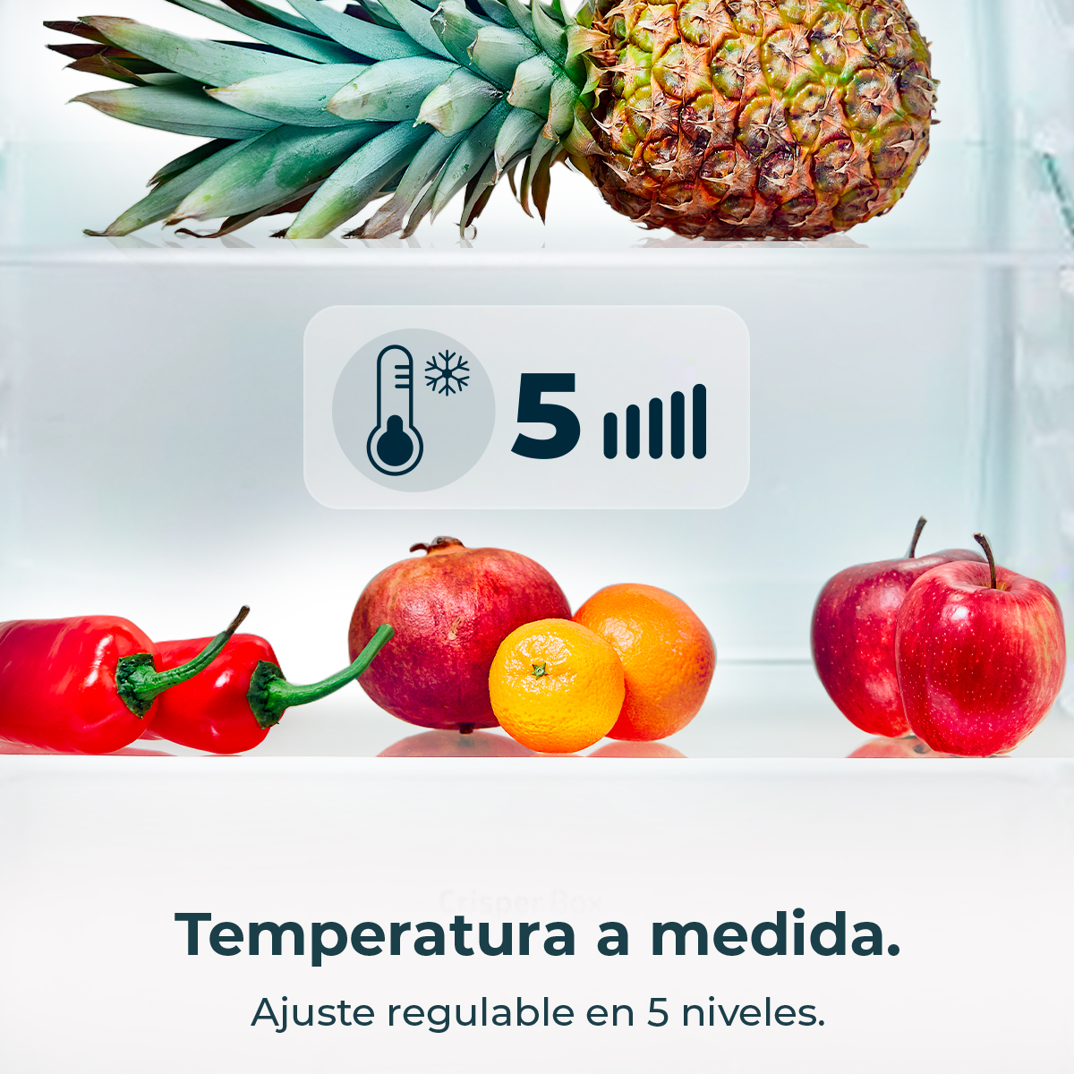 Wnętrze lodówki z ananasem, papryką, granatem, pomarańczami i jabłkami. Wskaźnik temperatury pokazuje 5 poziomów.