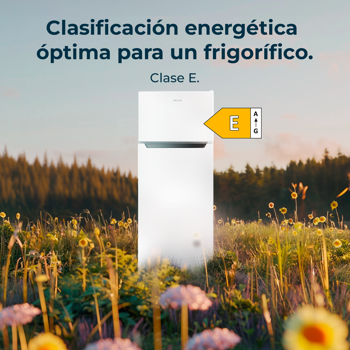Frigorifero bianco in un campo di fiori. L'etichetta di efficienza energetica mostra 'E'. Testo: classe energetica per un frigorifero.