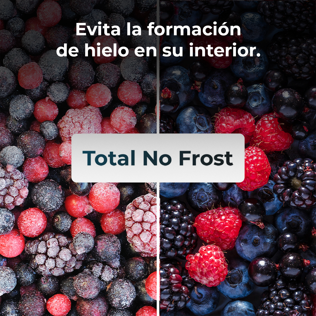 Obraz przedstawia mrożone jagody, w tym maliny, borówki i jeżyny, z tekstem 'Total No Frost' i tekstem hiszpańskim.