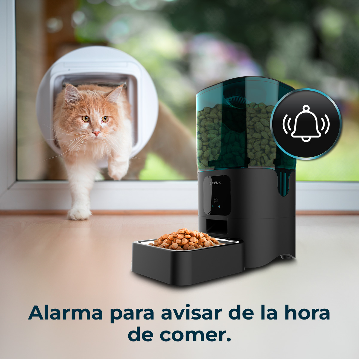 Un gato naranja sale por una gatera. Un alimentador negro con comida está al lado de un cuenco de comida. Hay un icono de campana.