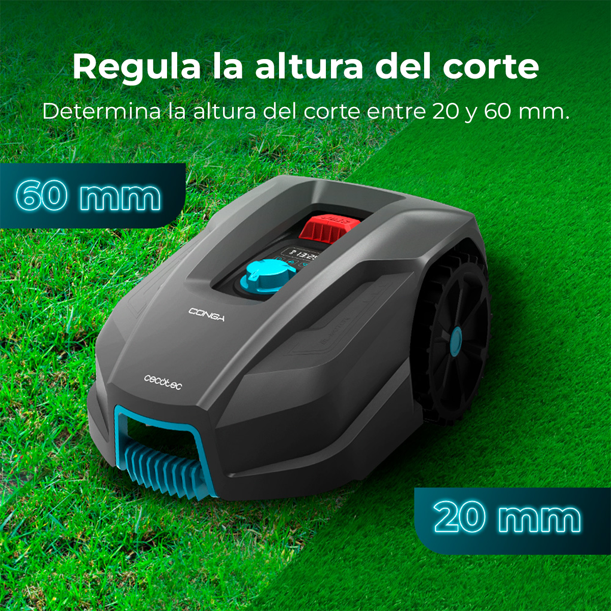 Robot koszący na zielonej trawie. Ma niebieskie i czerwone przyciski. Tekst wskazuje wysokości koszenia 20 mm i 60 mm.