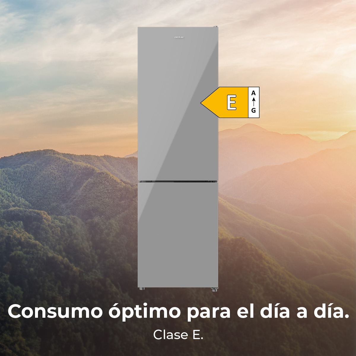 Un frigorifero grigio con etichetta energetica (Classe E) sullo sfondo di montagne.