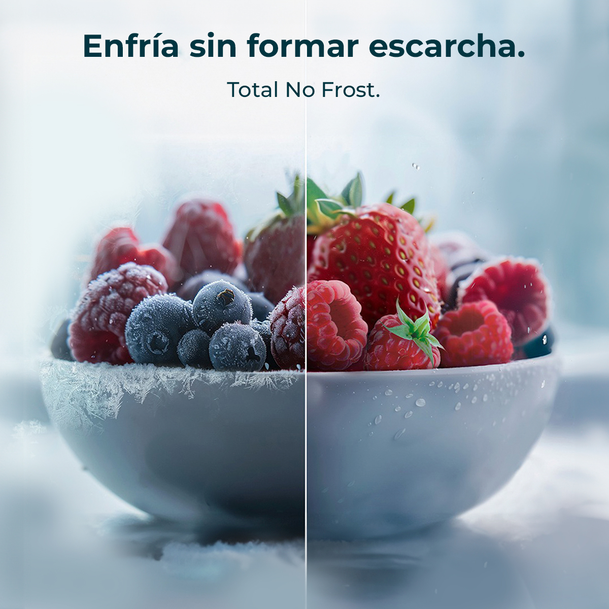Un cuenco de bayas frescas, la mitad heladas, con texto en español: Enfría sin formar escarcha. Total No Frost.
