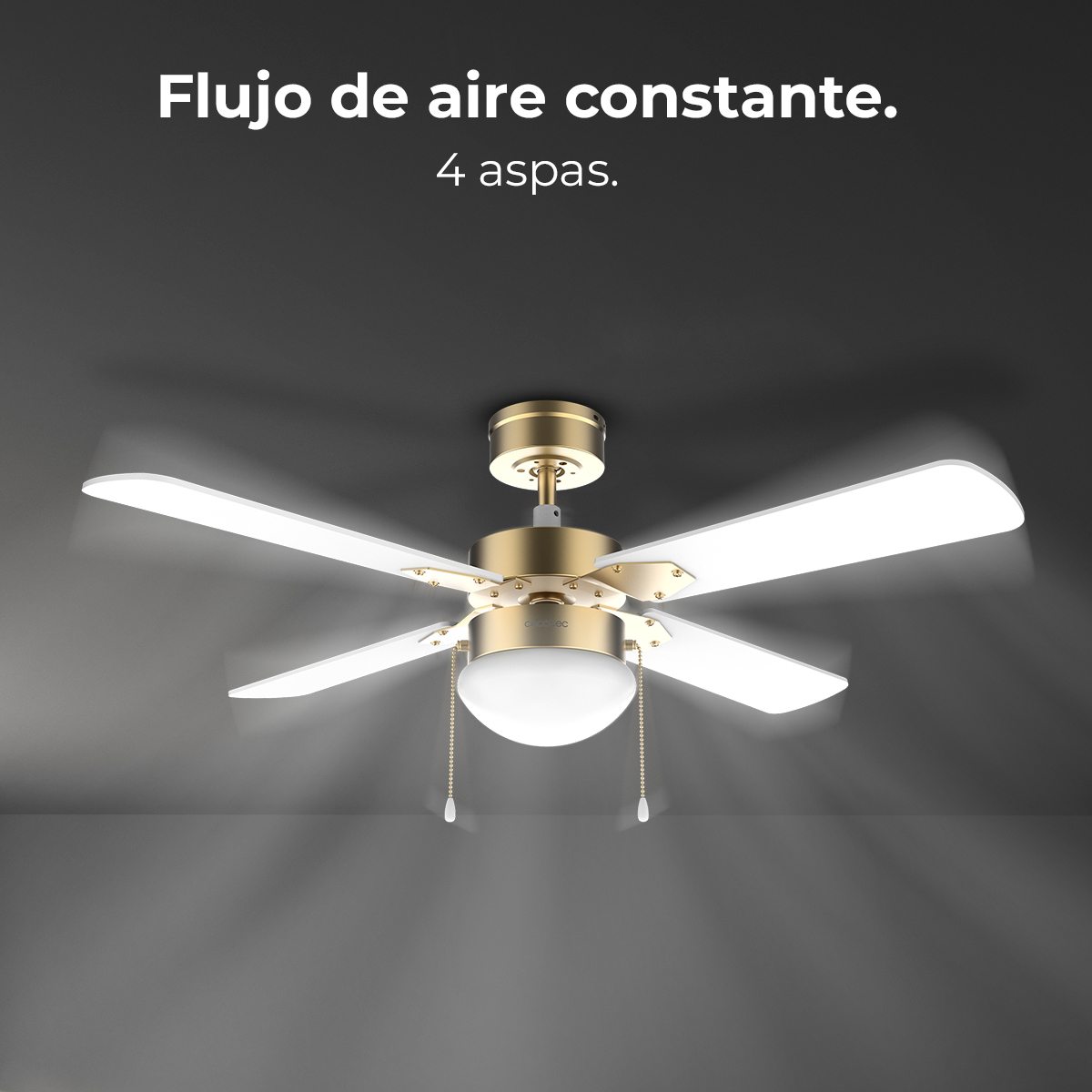 Un ventilador de techo con cuatro aspas blancas y un motor dorado. Tiene una lámpara y cadenas colgantes.