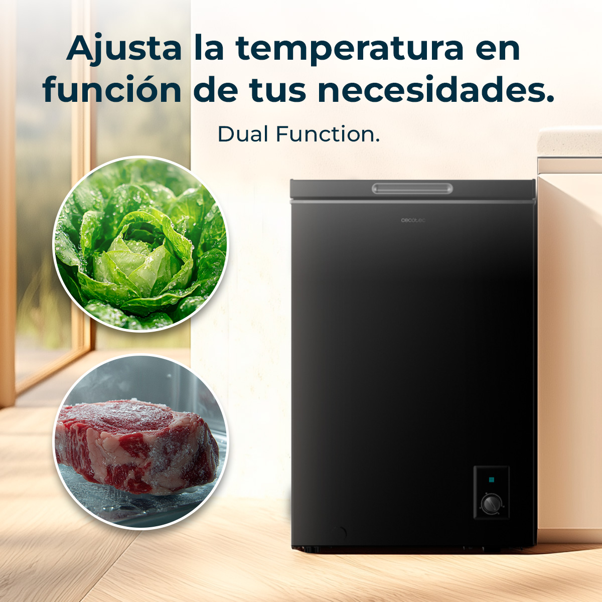 Un congelatore nero, con illustrazioni di lattuga e bistecca. Il testo dice 'Regola la temperatura' e 'Doppia funzione'.