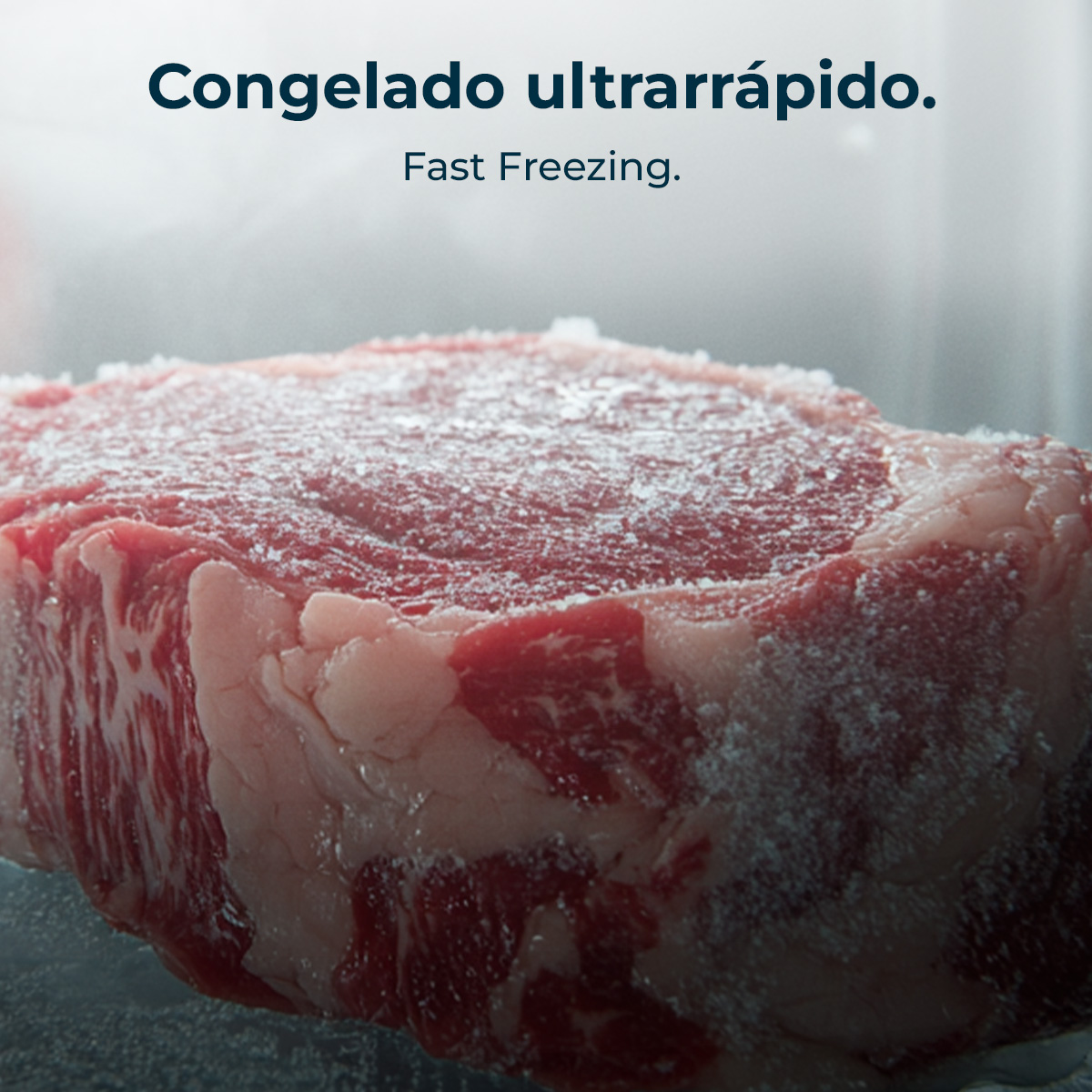 Primo piano di una bistecca cruda e congelata. È rossa con venature bianche e ricoperta di cristalli di ghiaccio. Lo sfondo è sfocato.