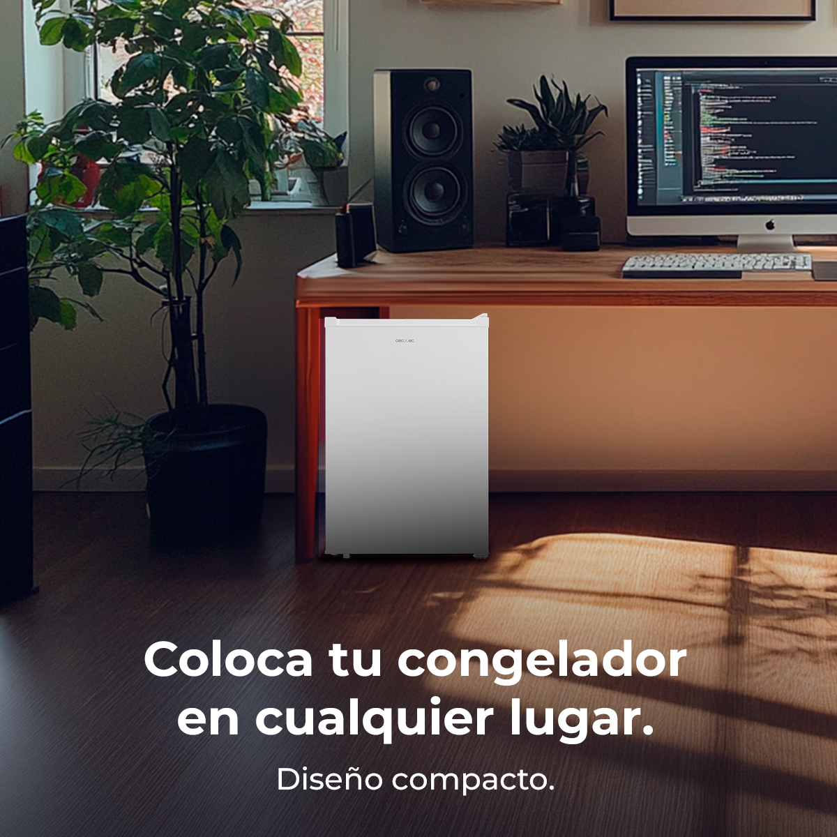 Un piccolo frigorifero argentato in una stanza. Dietro, una scrivania in legno con computer e altoparlanti. Una pianta a sinistra.