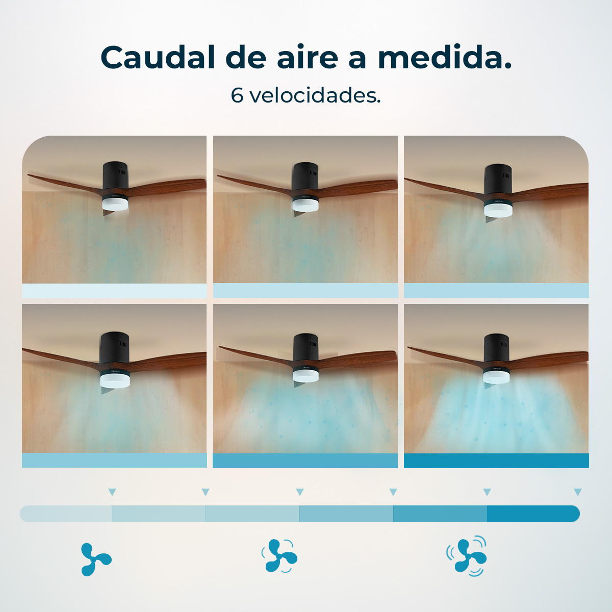 Sei ventilatori a soffitto con pale marroni e motori neri. Dimostrazione del flusso d'aria, con linee blu che illustrano le diverse velocità.