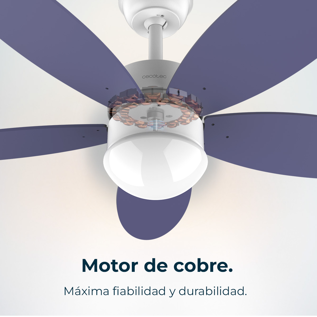 Wentylator sufitowy z fioletowymi łopatkami i białą oprawą oświetleniową. Wentylator jest zamontowany na białym suficie. Tekst: 'Motor de cobre'.