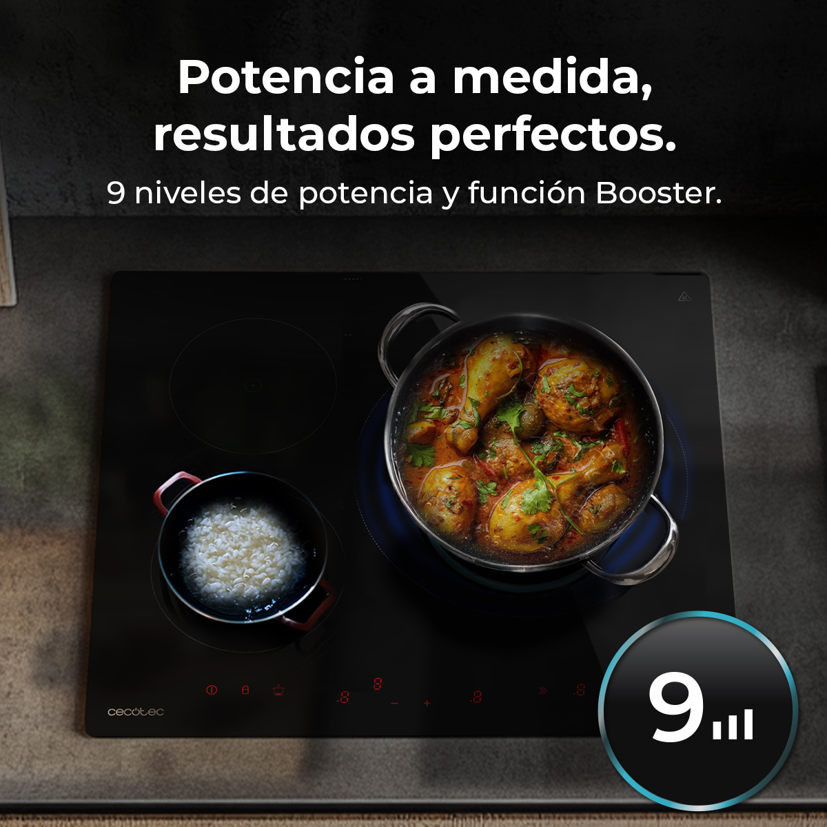 Czarna płyta indukcyjna z dwoma garnkami, jednym z kurczakiem, a drugim z ryżem. Tekst: '9 poziomów mocy'.