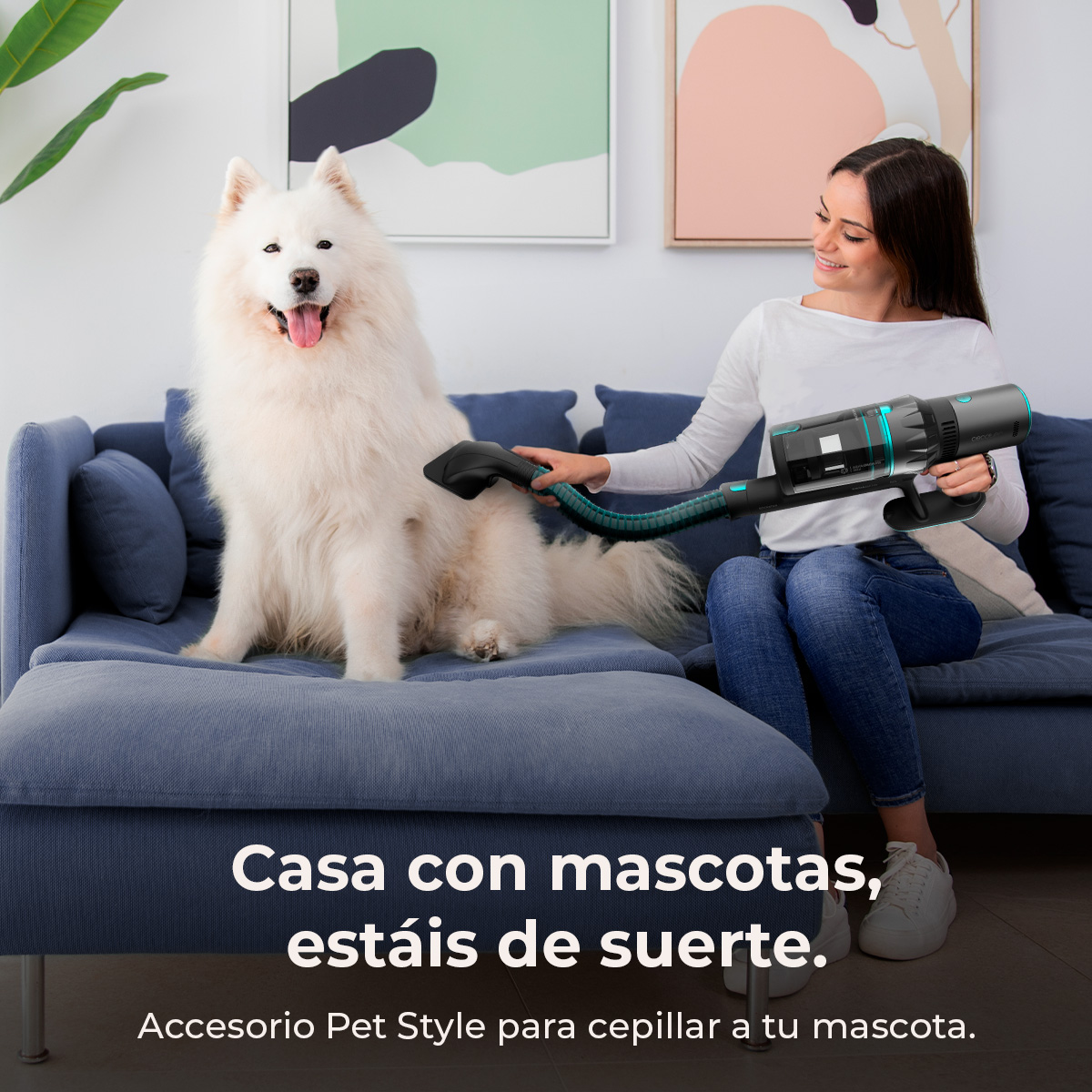 Una mujer cepilla a un perro blanco con una aspiradora en un sofá azul. El perro está feliz. Texto: Accesorio Pet Style.