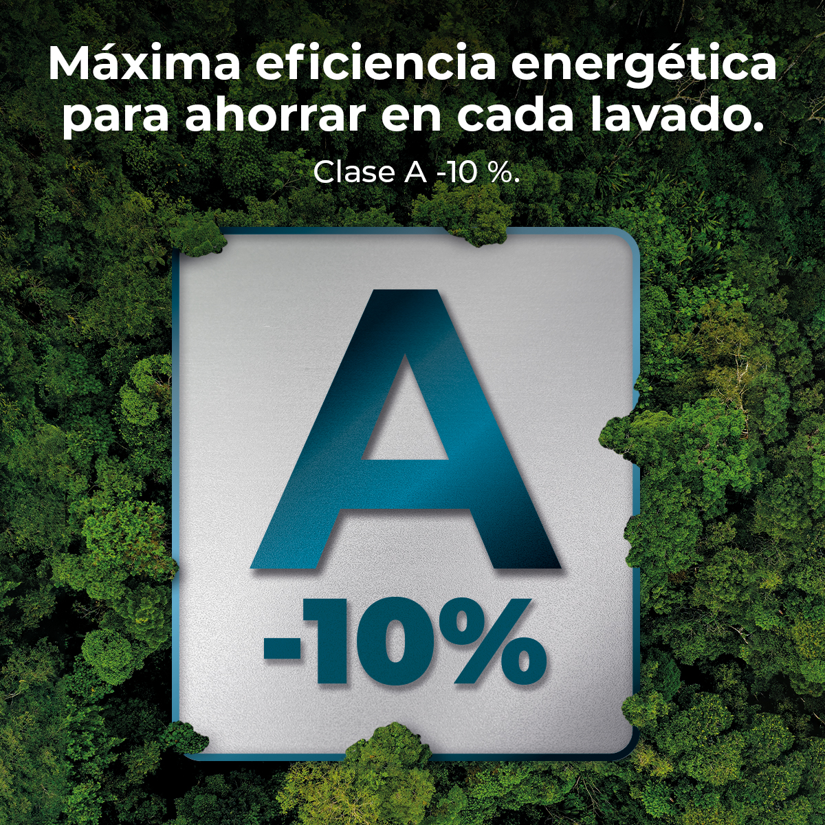 L'immagine mostra informazioni sull'efficienza energetica. Grande 'A' e '-10%' su sfondo argentato, circondato da fogliame verde, con testo sopra.