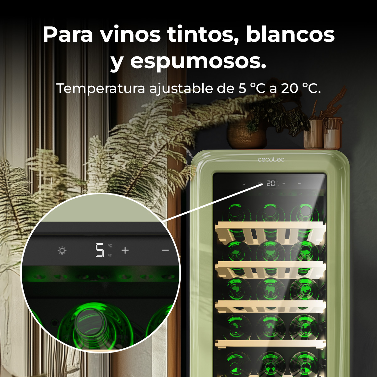 Un refrigeratore per vino verde mostra bottiglie. La temperatura è impostata a 5 gradi Celsius. Testo: Per vini rossi, bianchi e spumanti.