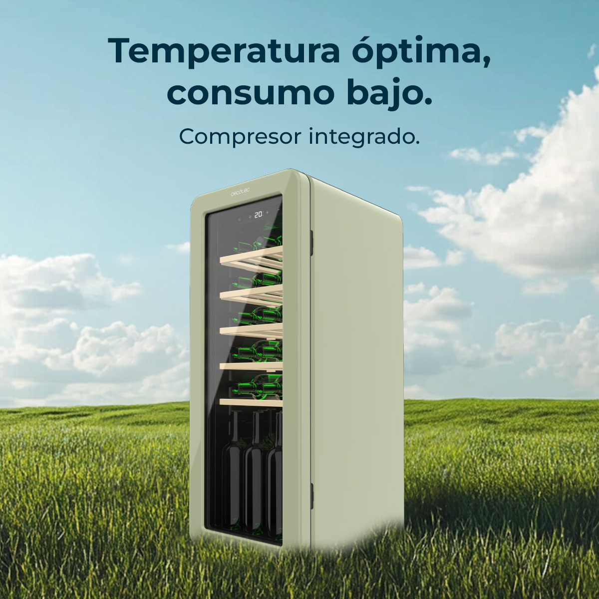 Una cantinetta su erba verde contro cielo blu. Bottiglie dentro. Testo: 'Temperatura ottimale, basso consumo'.
