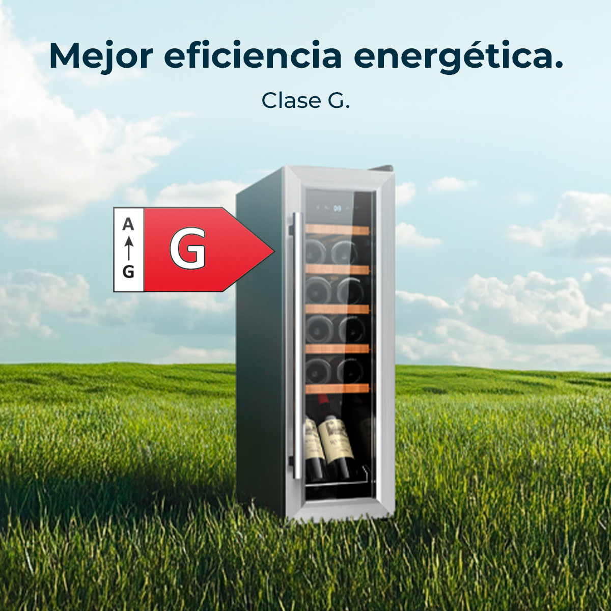 Un refrigeratore per vino si trova su un campo erboso sotto un cielo blu. Etichetta energetica con valutazione G a sinistra.
