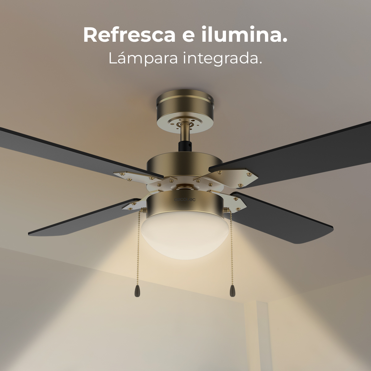 Deckenventilator mit schwarzen Flügeln und einem Licht. Der Ventilator ist gold und weiß und beleuchtet die Umgebung.