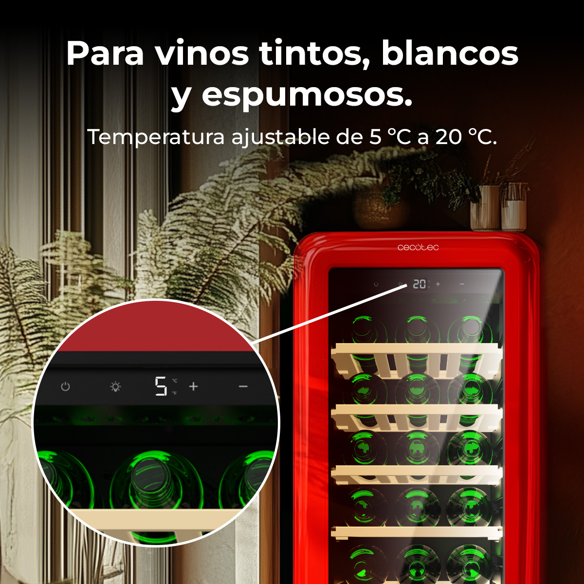 Un refrigeratore per vino rosso con bottiglie di vino all'interno. Il pannello di controllo mostra 5 gradi Celsius. Il testo indica che è per vini rossi, bianchi e spumanti.