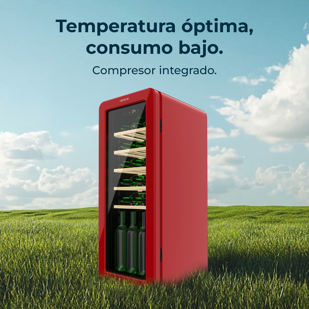 Un refrigeratore di vino rosso è su un campo erboso sotto un cielo blu. Ha bottiglie all'interno e testo in alto.
