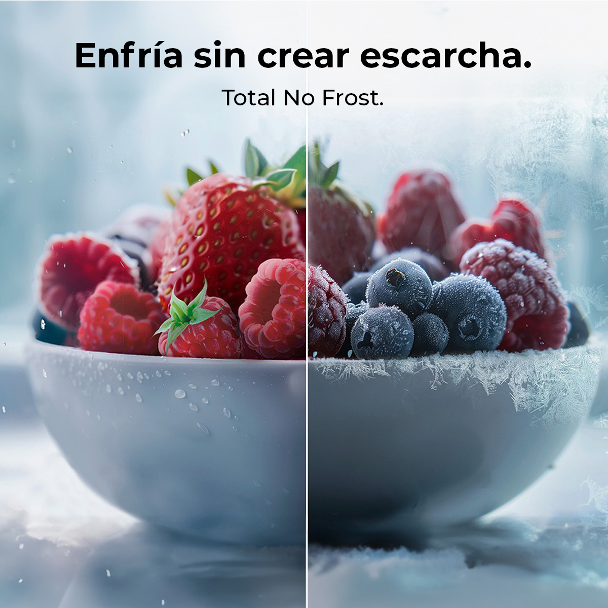 Un cuenco de bayas frescas, incluyendo fresas, frambuesas y arándanos. Se ven gotas de agua y cristales de hielo.