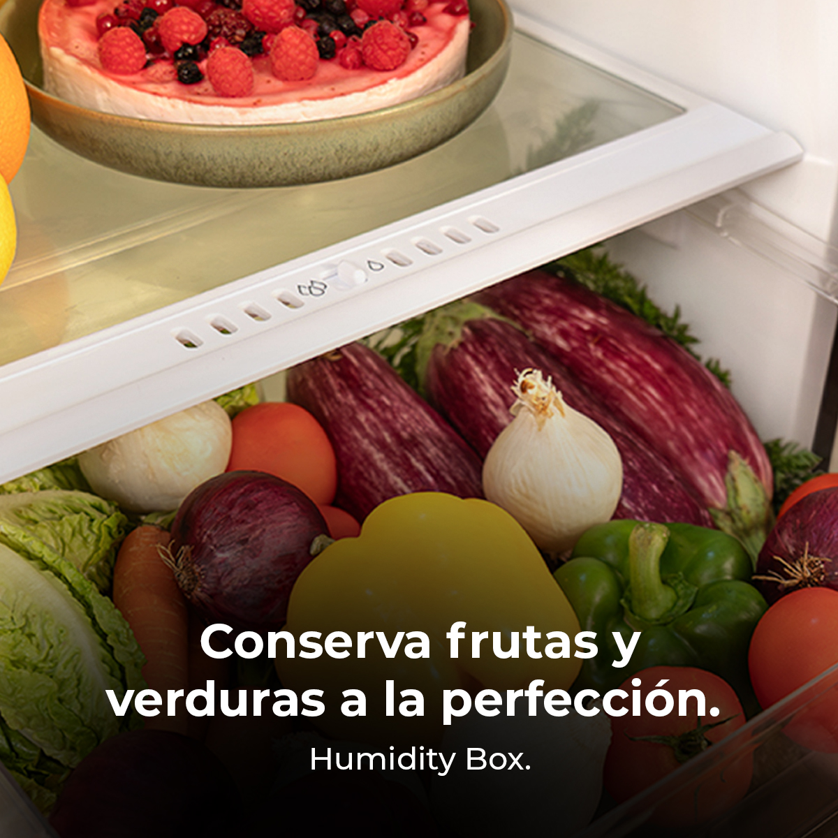Interior de la nevera con frutas y verduras. Estante superior con pastel. Cajón inferior con berenjenas, pimientos, cebollas y tomates.