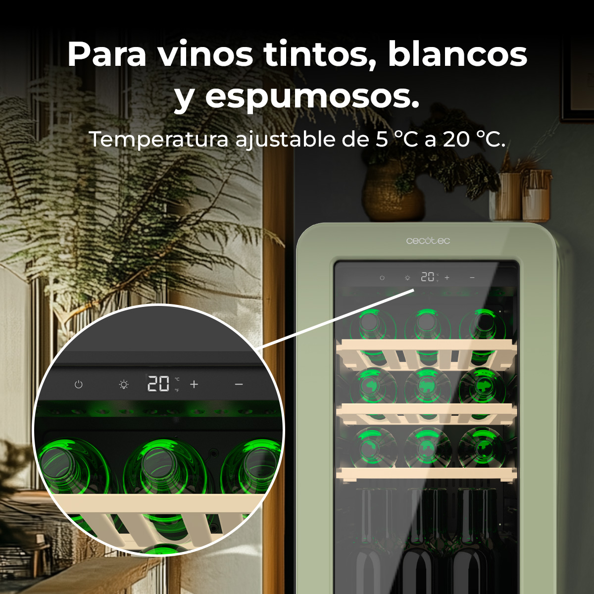 Un frigo per vini con bottiglie. Display illuminato con 20 gradi. Testo: 'Para vinos...'