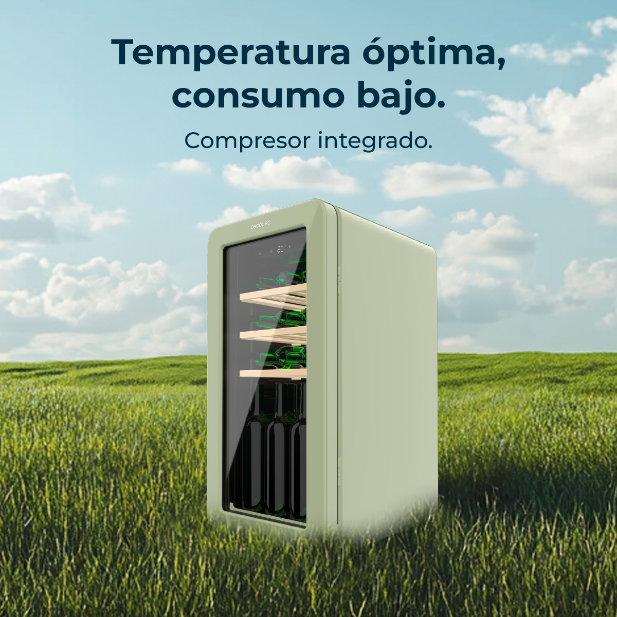 Un refrigeratore per vino verde menta è posto su un campo erboso. Ha bottiglie di vino all'interno e si trova contro un cielo blu con testo.