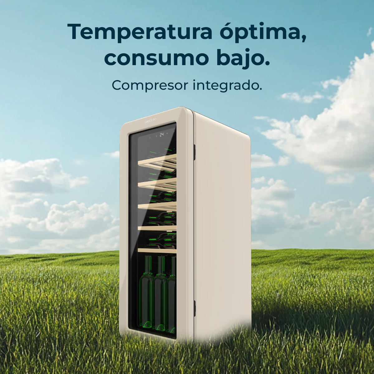 Un frigorifero per vini beige è sull'erba, con bottiglie di vino all'interno. Il cielo è blu con nuvole e testo sopra.