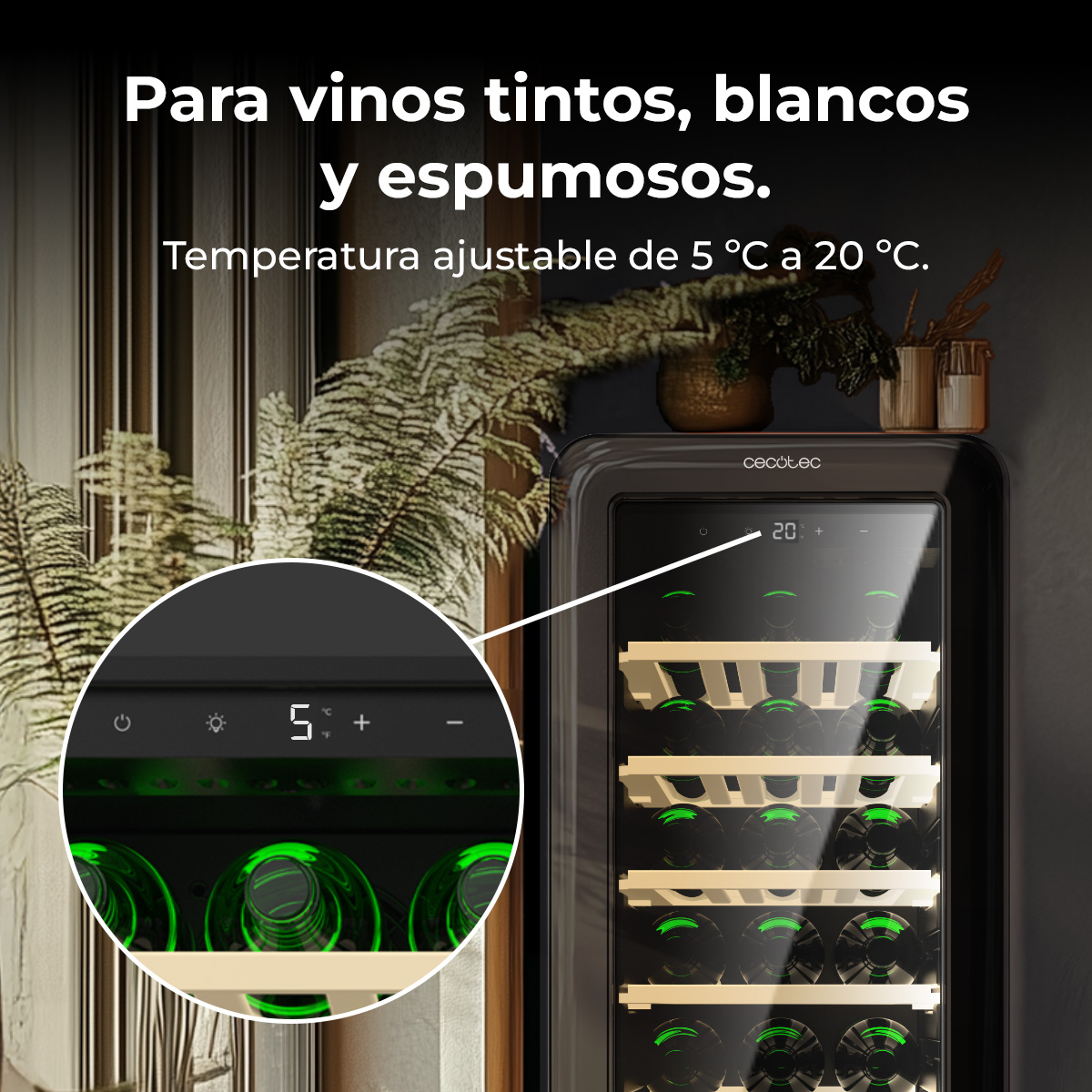 Un refrigeratore per vino mostra 5°C. Testo: Per vini rossi, bianchi e spumanti. Temperatura regolabile da 5°C a 20°C.