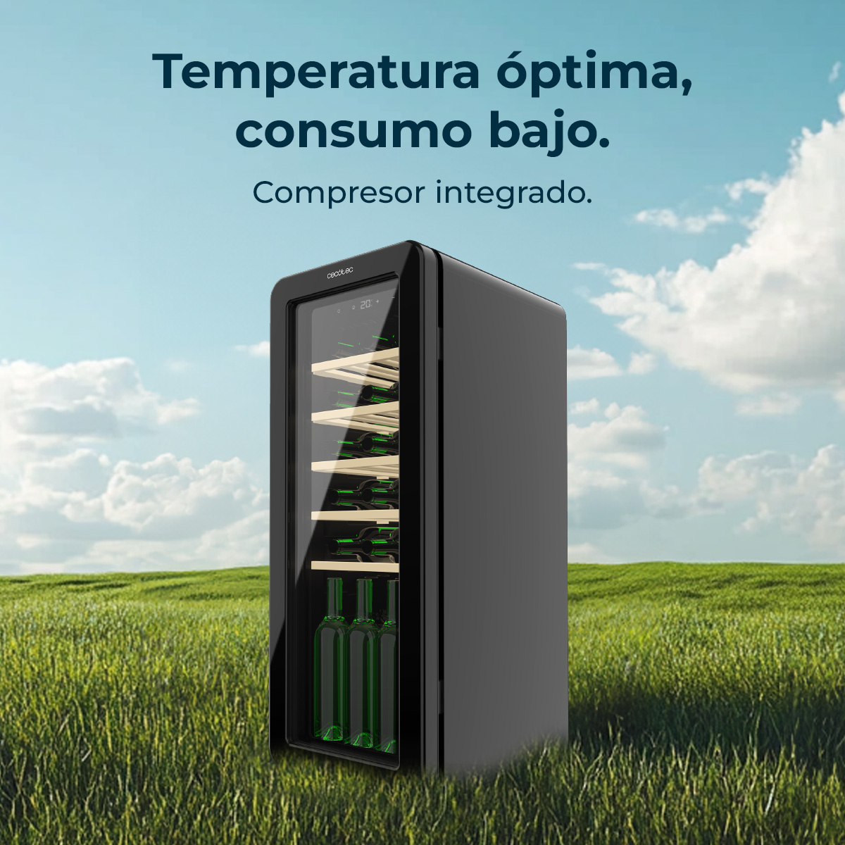 Un'enoteca nera su erba verde, cielo blu. Testo: 'Temperatura ottimale, basso consumo. Compressore integrato.'