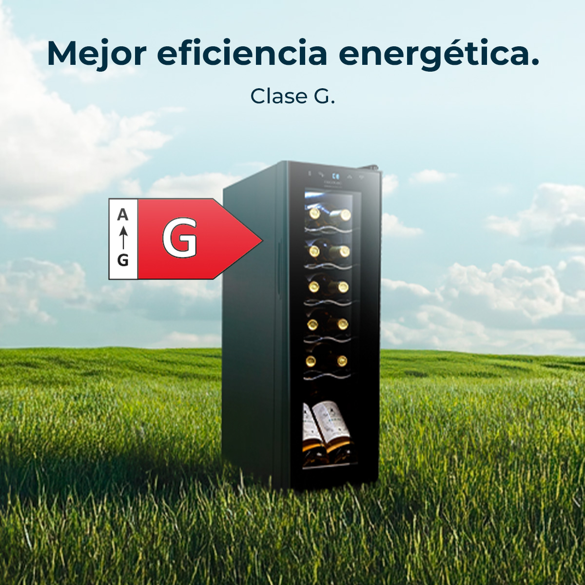 Chłodziarka do wina na trawiastym polu, z etykietą energetyczną G. Niebo jest niebieskie z chmurami.