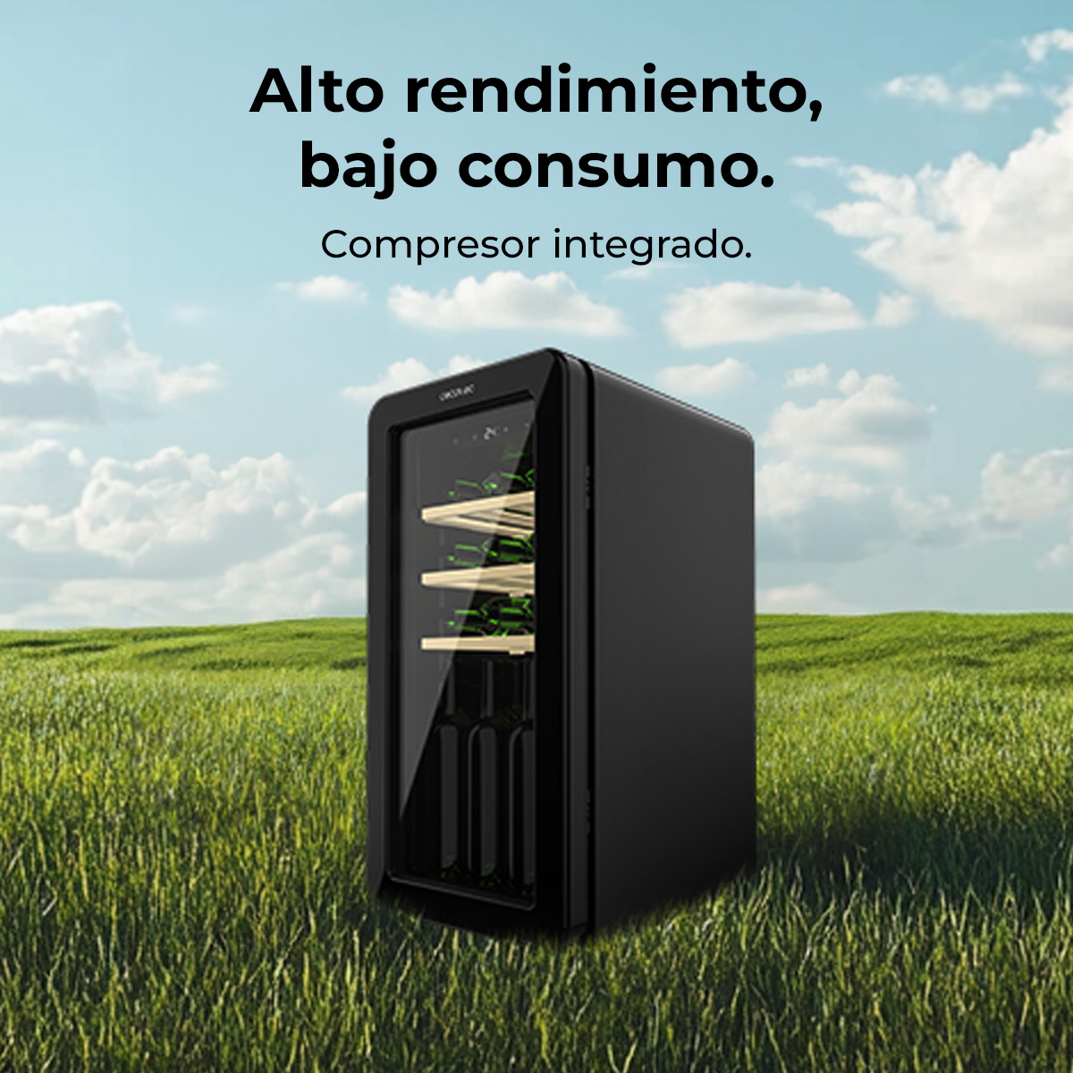 Un refrigeratore di vino nero sull'erba verde. Testo: 'Alte prestazioni, basso consumo. Compressore integrato.'