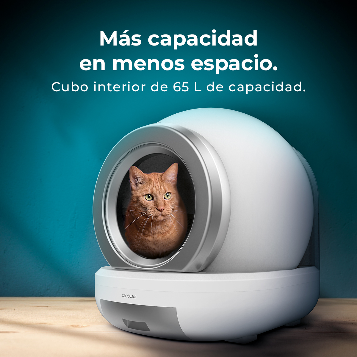 Un gato jengibre está en una caja de arena blanca. El texto superior dice: 'Más capacidad en menos espacio. Cubo interior de 65 L.'