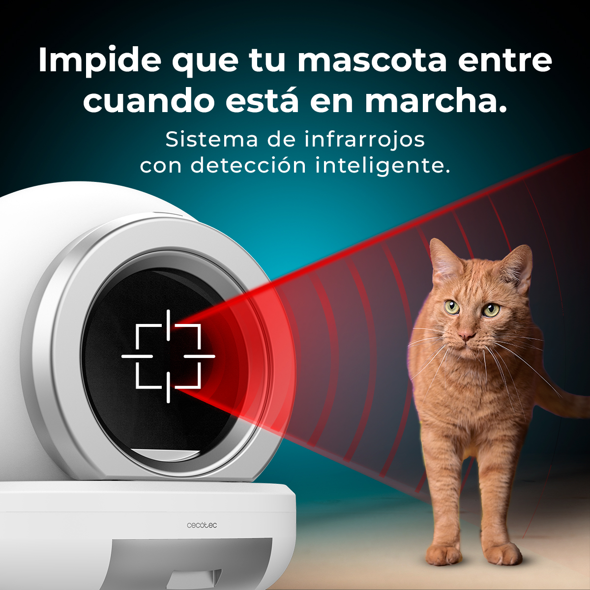 Un dispositivo blanco con un rayo rojo detecta un gato. El gato es naranja y mira hacia adelante. Texto en español.