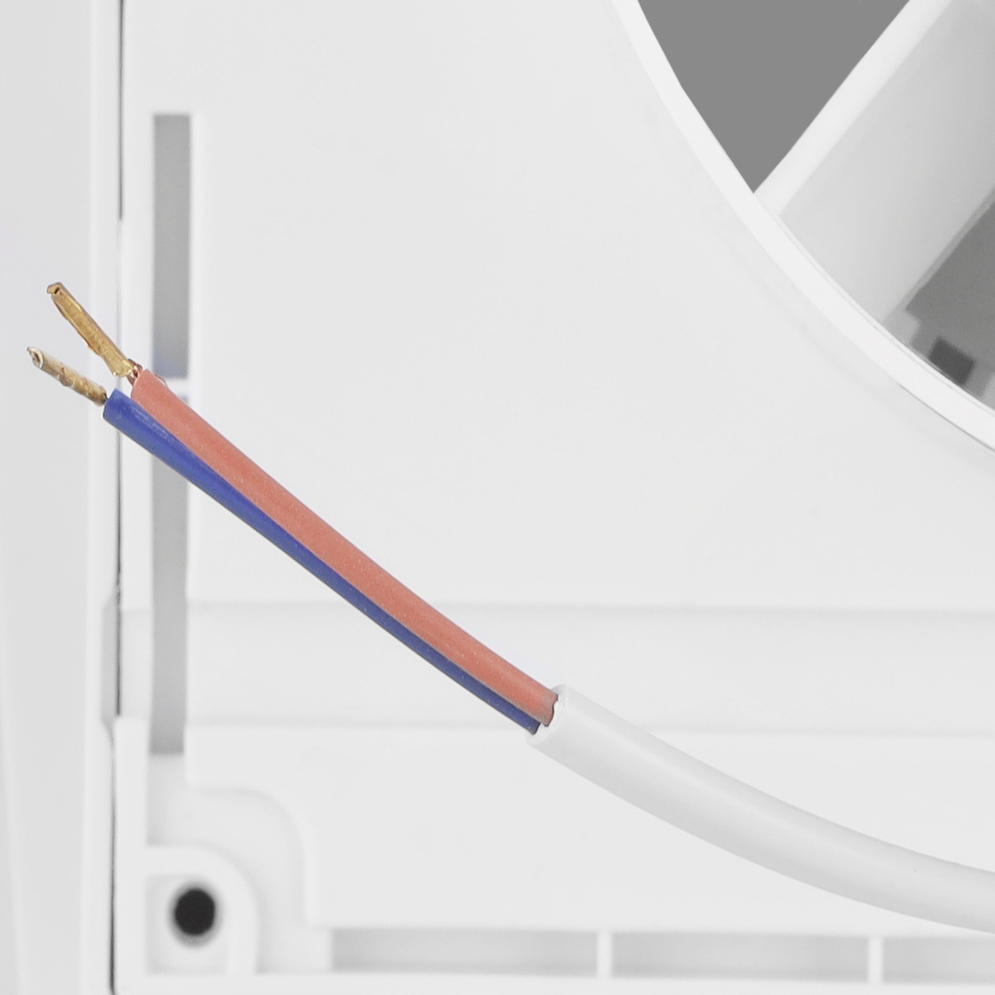 Zbliżenie białego kabla z dwoma przewodami, czerwonym i niebieskim, oraz złotymi końcówkami, na białym i szarym tle.